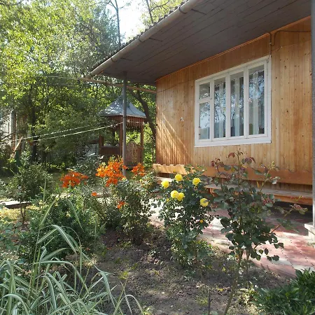 Lodge U Vasiliny Verkhovyna
