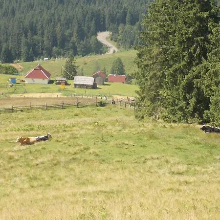 U Vasiliny * Verkhovyna